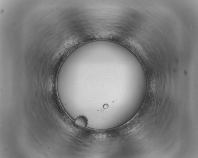 X0000089420687200706291033