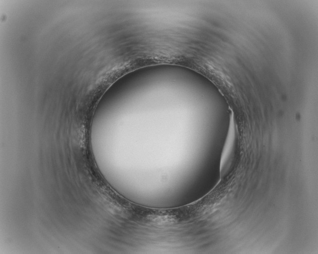 X0000089420689200706291033