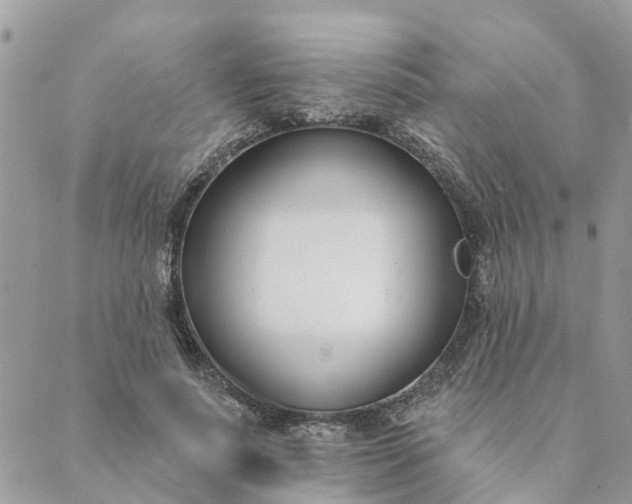 X0000089420691200706291033