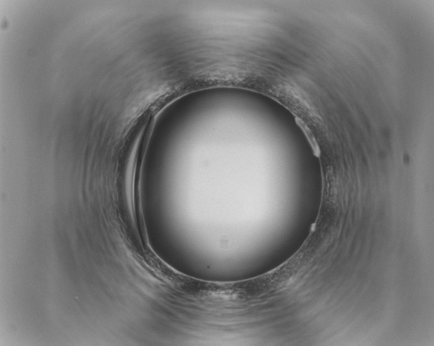 X0000089420692200706291033