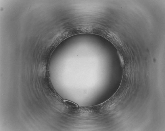 X0000089420697200706291033