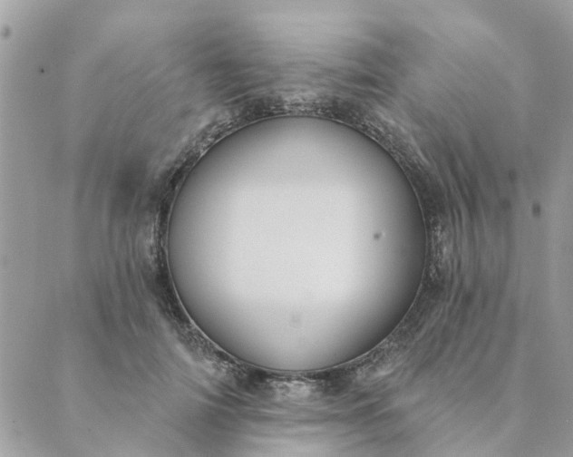 X0000089420698200706291033