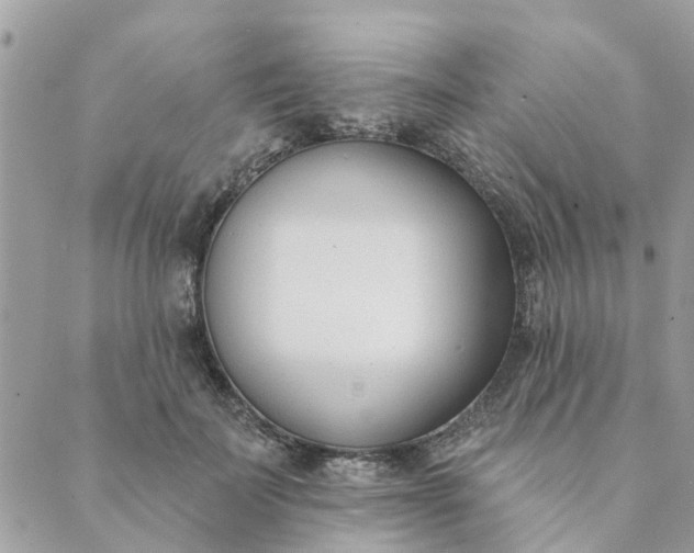 X0000089420699200706291033