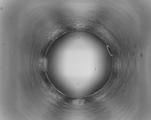 X0000089420700200706291033