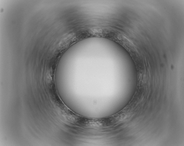 X0000089420702200706291033