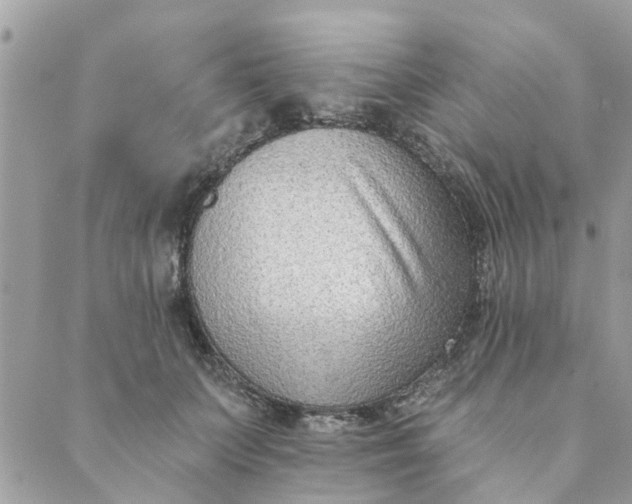 X0000089420703200706291033