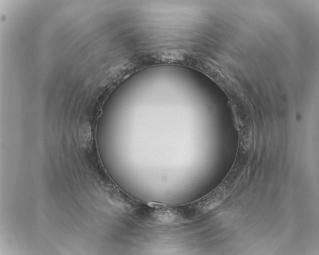 X0000089420704200706291033