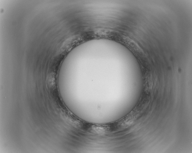 X0000089420706200706291033