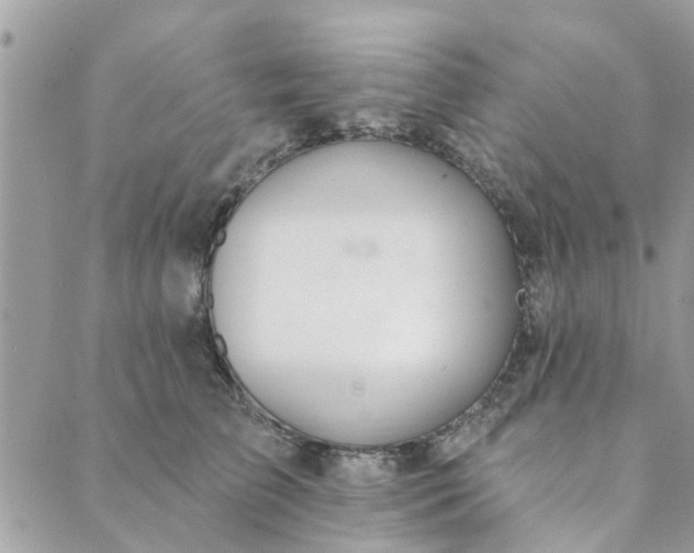 X0000089420709200706291033