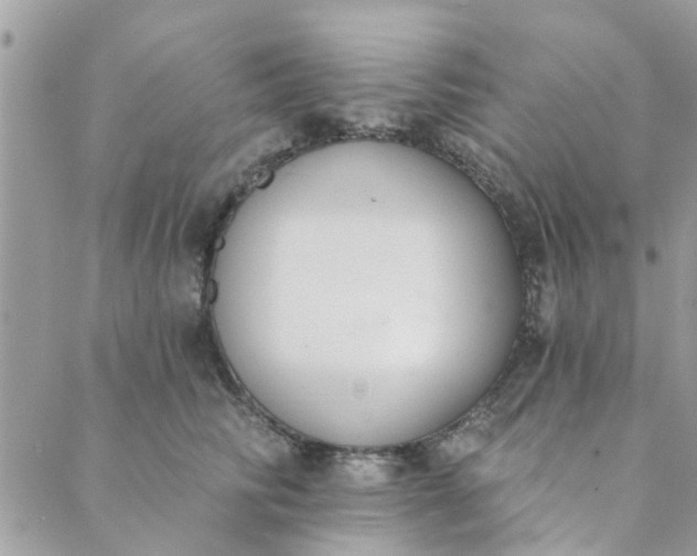 X0000089420710200706291033