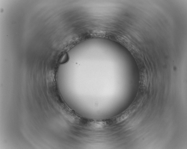 X0000089420711200706291033