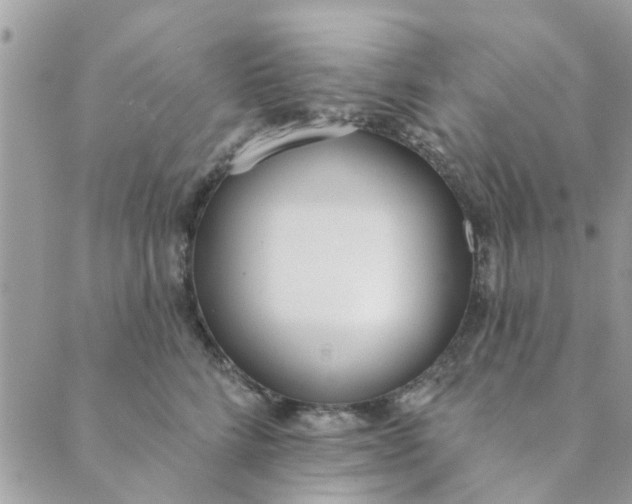 X0000089420712200706291033