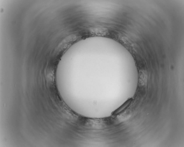 X0000089420713200706291033