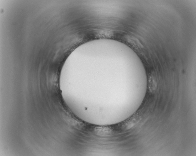 X0000089420714200706291033