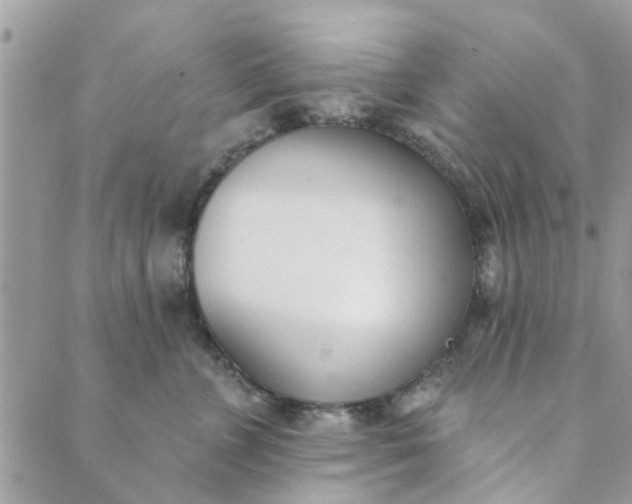 X0000089420715200706291033