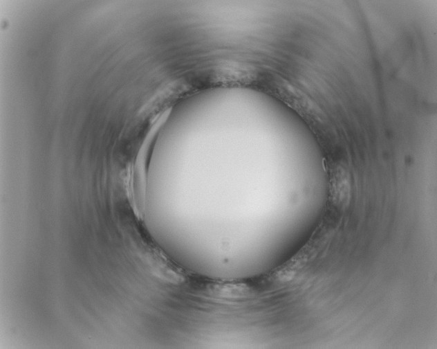 X0000089420716200706291033