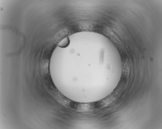 X0000089420717200706291033