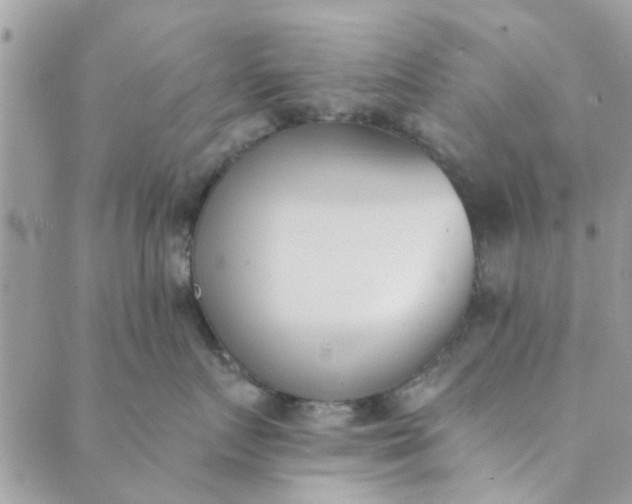 X0000089420719200706291033