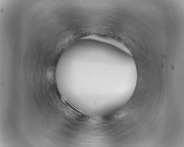 X0000089420720200706291033