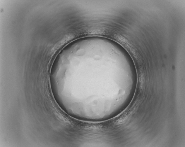 X0000089420721200706291032