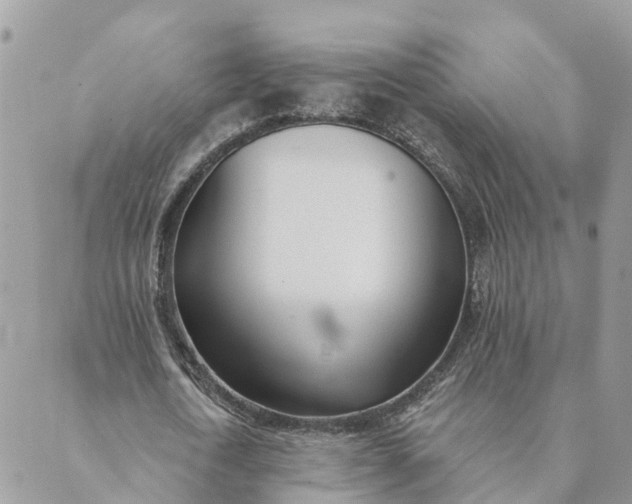 X0000089420722200706291032