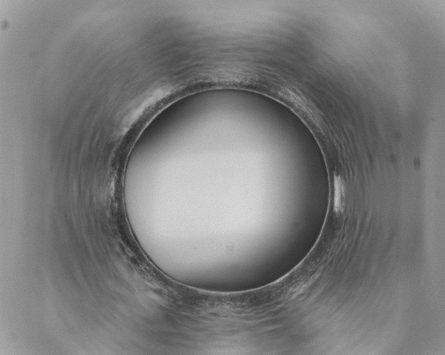 X0000089420723200706291032