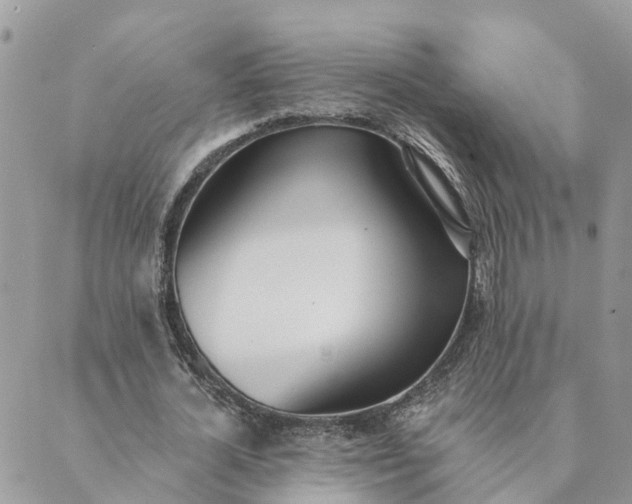 X0000089420724200706291032