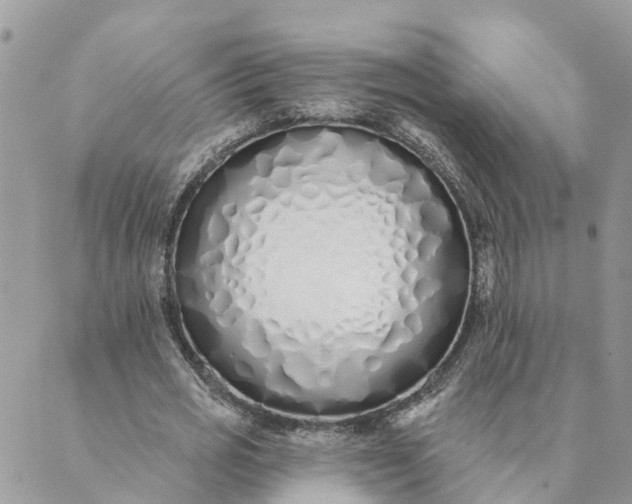 X0000089420725200706291032