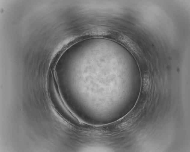 X0000089420726200706291032