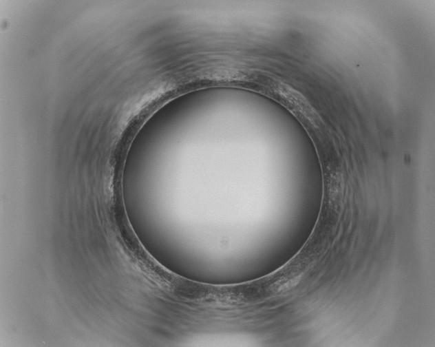 X0000089420727200706291032