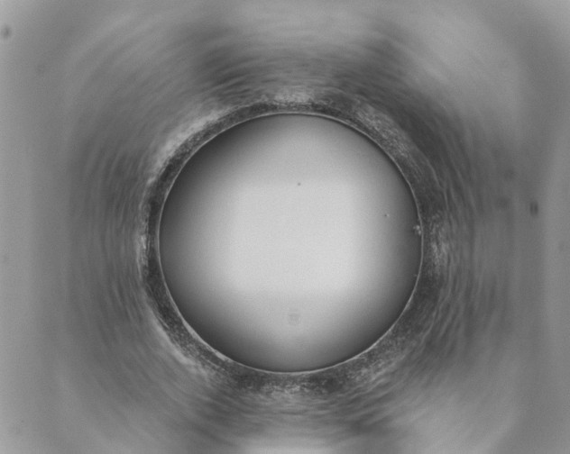 X0000089420728200706291032