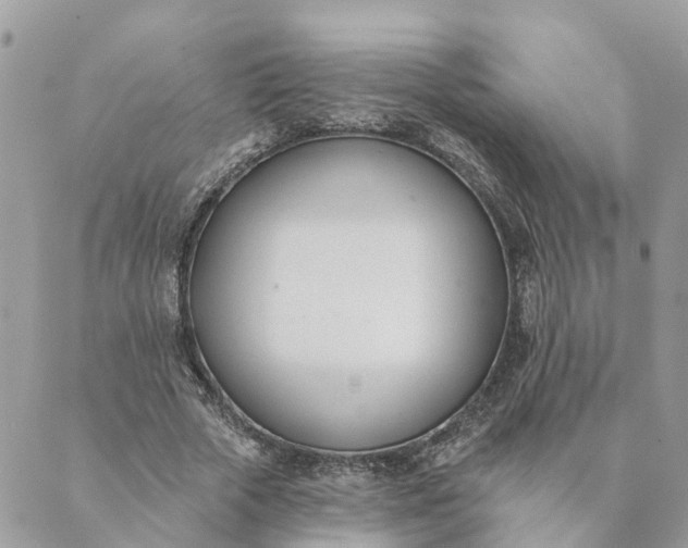 X0000089420729200706291032