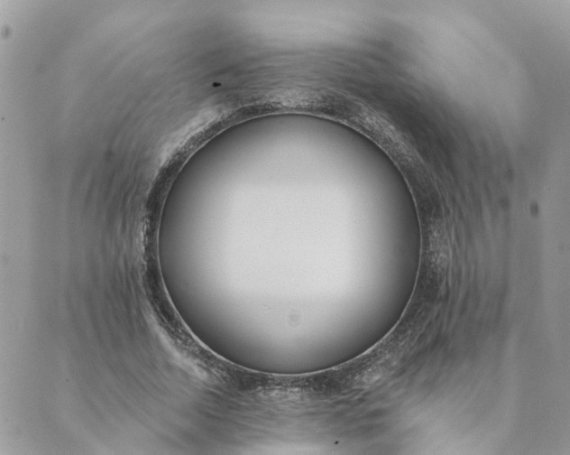 X0000089420730200706291032