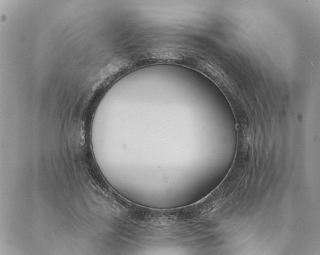 X0000089420731200706291032