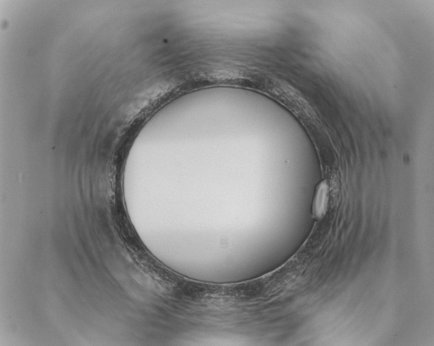 X0000089420732200706291032