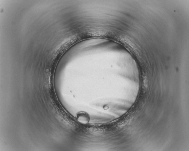 X0000089420733200706291032