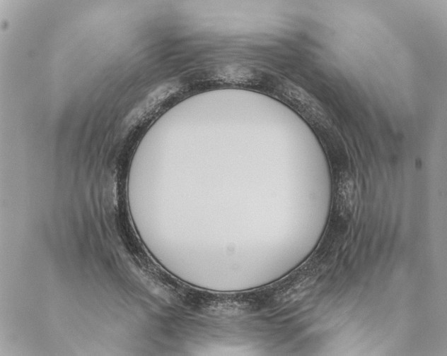 X0000089420734200706291032