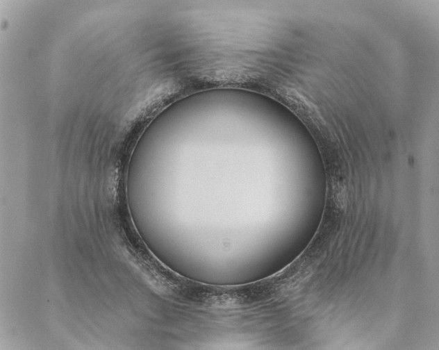 X0000089420735200706291032