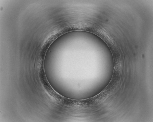 X0000089420736200706291032