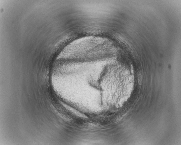 X0000089420737200706291032