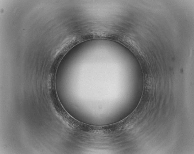 X0000089420738200706291032