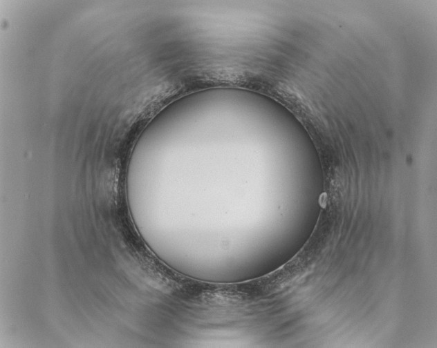 X0000089420739200706291032