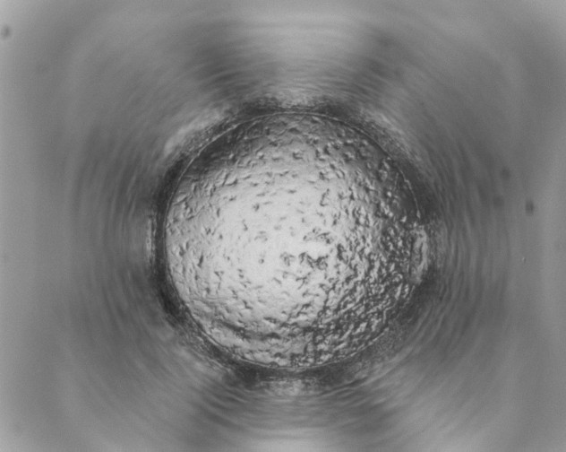 X0000089420740200706291032