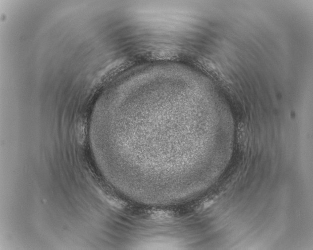 X0000089420741200706291032