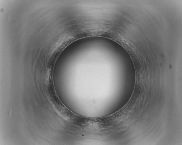 X0000089420742200706291032