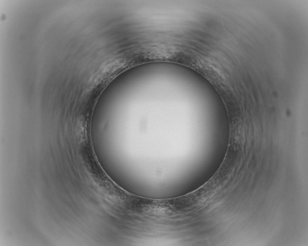 X0000089420743200706291032