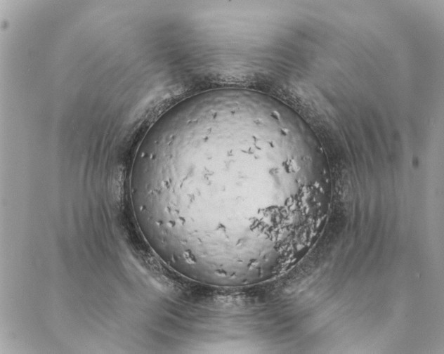 X0000089420744200706291032