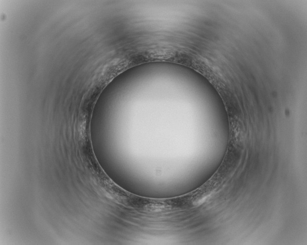 X0000089420745200706291032