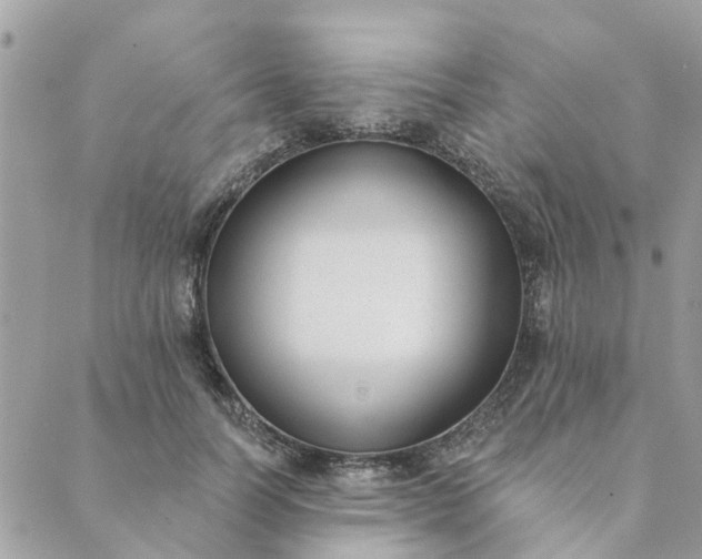 X0000089420746200706291032