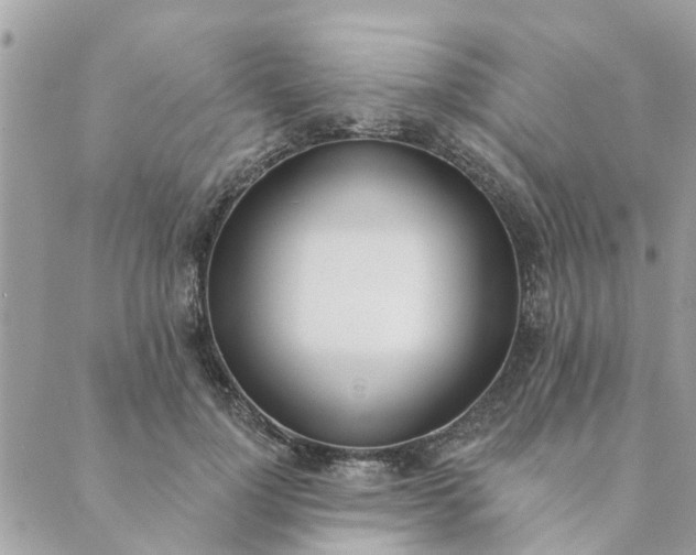 X0000089420748200706291032